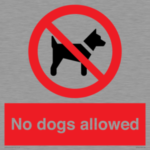 No dogs allowed
